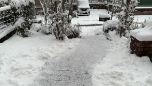 豪雪