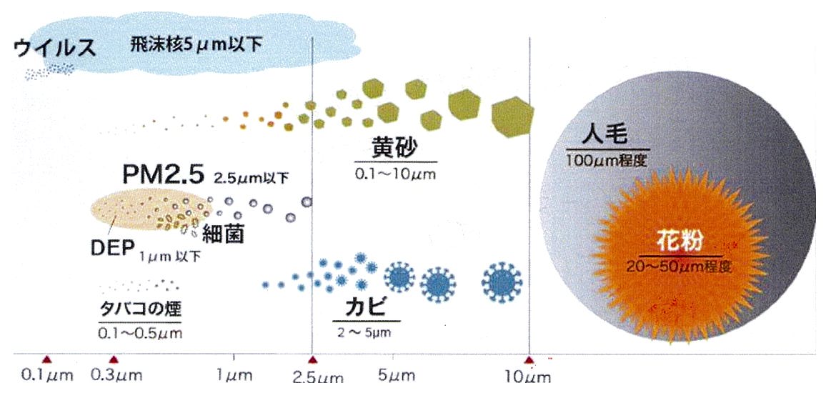 花粉のサイズ