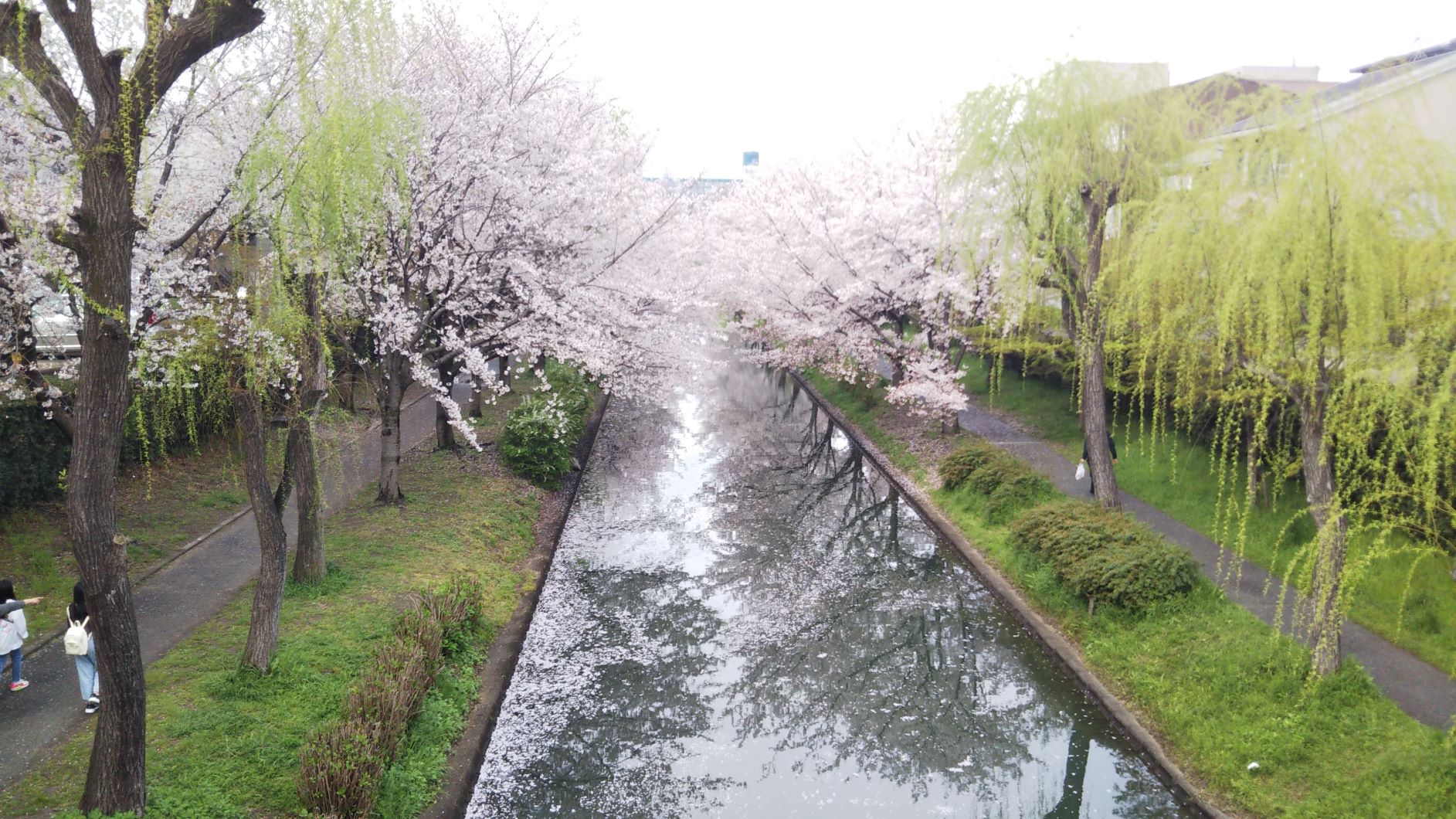 京橋