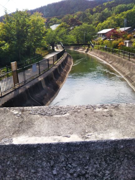 安朱橋3