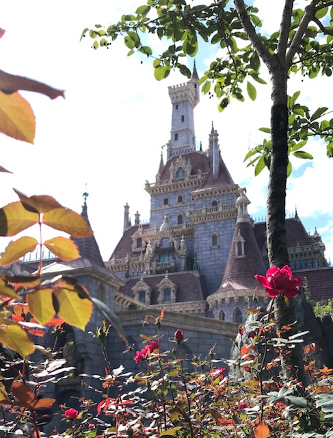 東京ディズニーランド　美女と野獣　デザオ建設