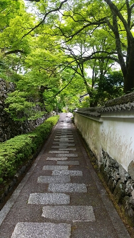 善峯寺②