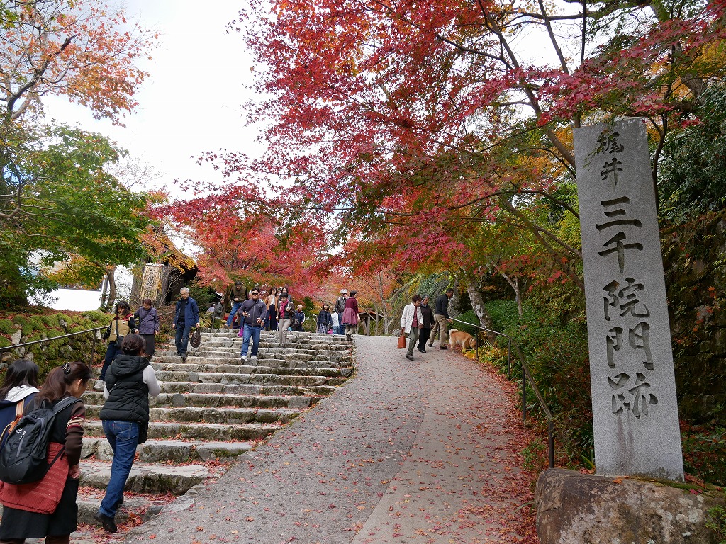 大原三千院