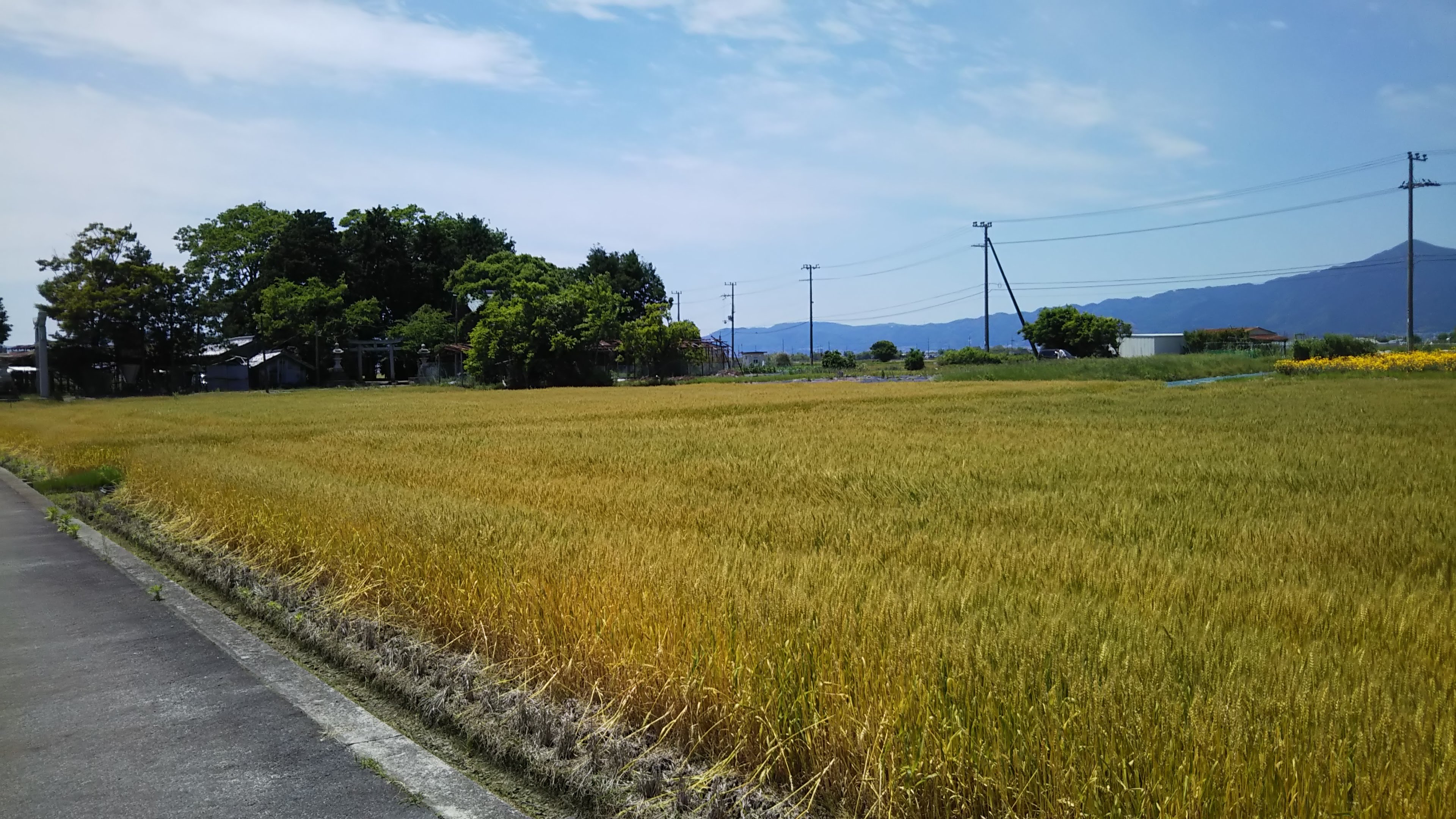 天満宮