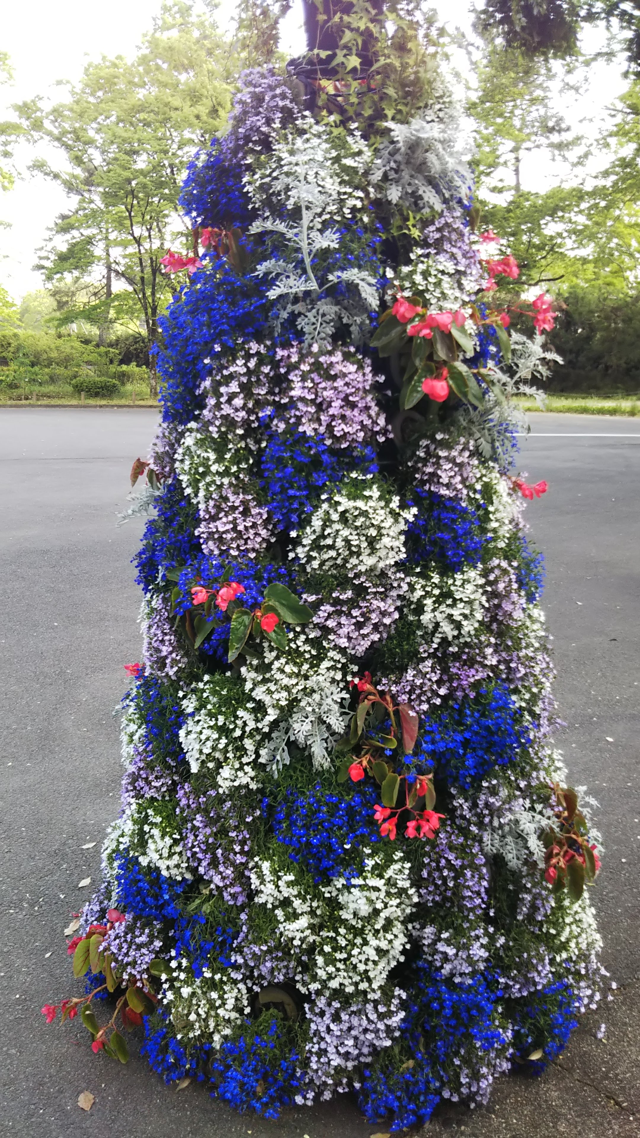 植物園