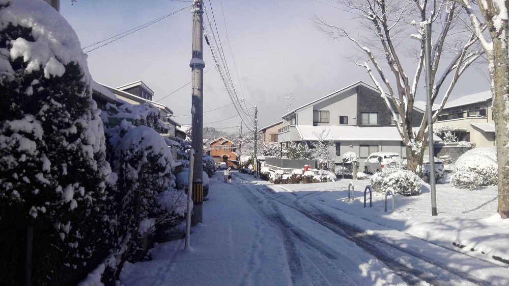 雪の風景２