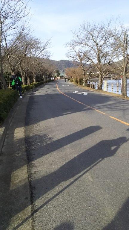 車両既製のかかった道路